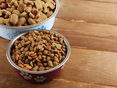 Mali by ste zmeniť jedlo svojej mačky na obilniny na pečenie? Tu je to, čo po...